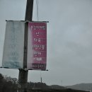 대아농원 - 완주군 대아저수로 41 | 대아농원