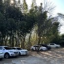 광주광역시 시립수목원 B동 | 광주 소죽림 카페│광주 남구 대나무숲 한옥카페, 대형견 애견동반 디저트 맛집