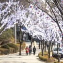 용산-104 이미지