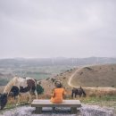 먼바다 민박 이미지