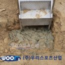 연푸른초등학교 이미지