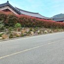 약산한옥민박 이미지