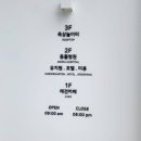 꼬리살랑 이미지