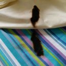 블랙컨슈머 새로고침 이미지