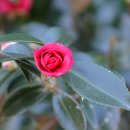 철새탐조대 이미지