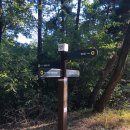 감골작은도서관 이미지