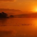 우포늪 광장 이미지