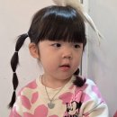 미어캣인더시티