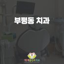 100세 플란트치과의원 이미지