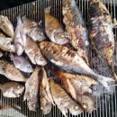 펜션 미조항 이미지