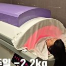 (주)쥬비스다이어트 수원영통점