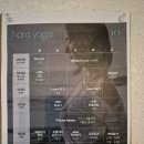 아쉬탕가 빈야사 요가 A | [오붓패스] 선릉역 하라요가 Slow 아쉬탕가 체험 후기 (선릉역 요가)