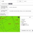 소나무공인중개사사무소 이미지
