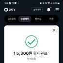 카페물고기