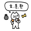 코드 딜라이트 이미지