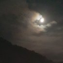 밝은행정사 사무소 이미지