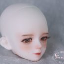 토마토키드 네이버블로그