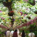 성남목장 이미지