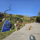 별산펜션 | 화순 별산펜션 후기 ㅣ가족여행, 반려동물 동반, 독채형 펜션 찾는다면 여기 어때요?드라이버 코스로도...