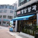 명당양과 이미지