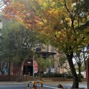 9월에 들어야 할 노래 🍁 이미지