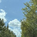 농가맛집 밀 | 합천맛집.농가맛집밀 보리굴비정식후기