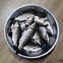 동창천 이미지