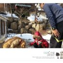 쌀라네 집 이미지