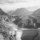 바이온트 이미지