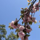 산처럼물처럼 | 원주 뮤지엄산 후기 및 팁, 공간이 만들어주는 침묵의 힘