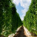 감동농장(2) 이미지