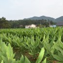 구령목장 이미지