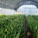 단군농장 이미지