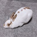 재미나당구장 이미지