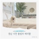 메리왈 이미지