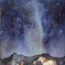 토니모리 그 비씨데이션플러스 어때? 이미지