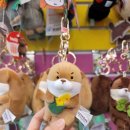 짱이뽑기샵 이미지