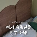 주인집 | 자누아 필로우 | 숙면 치트키 발견! 경추베개 유목민 정착시킨 '자누아 필로우' 솔직 후기