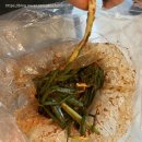 맛깔난푸드 이미지