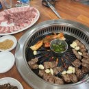 청오돼지들의세상 이미지