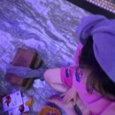 영광비니루 이미지