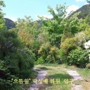 으뜸화원 Daum카페