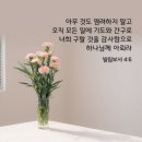 모현초등학교 이미지