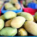 알찬농장 이미지