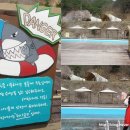 오고집 글램핑 이미지