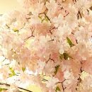 길상한의원 이미지