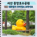중앙호수공원 | 서산 중앙호수공원 벚꽃 개화시기 주차 정보와 솔직한 트릭아트 후기
