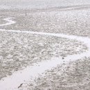 내동~사내호 이미지