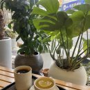 태광카센타 이미지