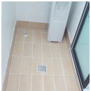 대광초등학교 이미지